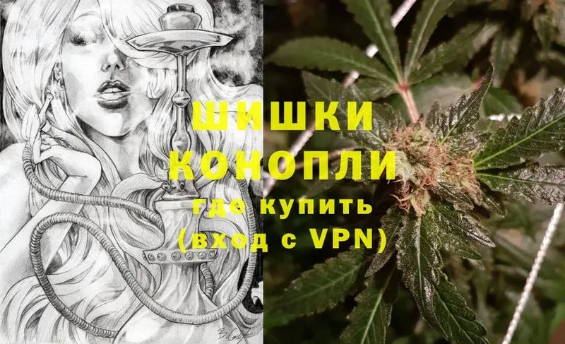 Бошки марихуана OG Kush  Реутов 